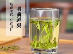-宋宴(虎跑店)