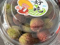 -胡麻地果研所(兰州中心BM店)