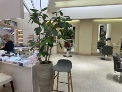 -Mentor Hair Salon