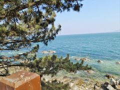 -养马岛旅游度假区