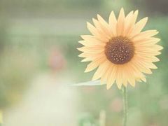 -万达广场(泰安泰山店)