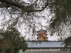 -浙江西子宾馆·牡丹厅