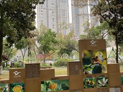 -成都市活水公园