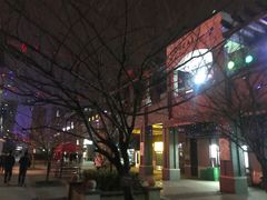 -同济大学(嘉定校区)