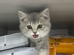 -爱诺耐芙动物医院(万博店)