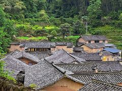 -杨家堂村