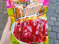 -舜华临武鸭·湖南零食特产(三王街店)
