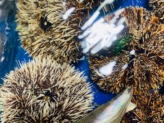 -鸿港海鲜批发市场