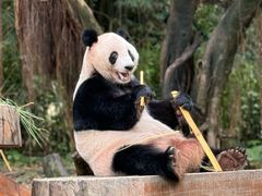 -广州长隆野生动物世界