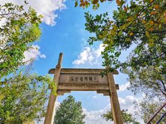 -紫金山山顶公园