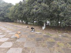 -秦始皇帝陵博物院-丽山园