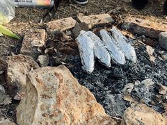 -盘龙城国家考古遗址公园