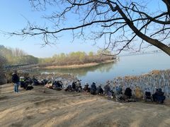 -丁香湖公园
