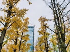 -两江幸福广场