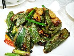 -新志兴至尊烧鹅大王