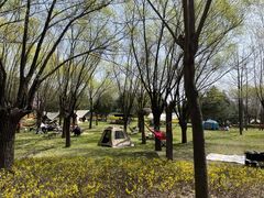 -洨河生态公园