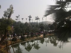 -枫香湖儿童公园
