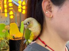 -天虹购物中心(石路店)