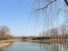 -东郊湿地公园