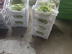 -马陆小张葡萄园农家乐