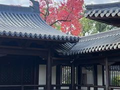 -江心屿景区