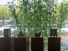 -新紫霞养生·影院足道·SPA(金山区店)