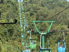 -野象谷景区