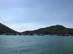 -南丫岛