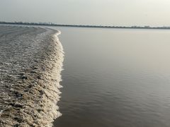 -观潮胜地公园
