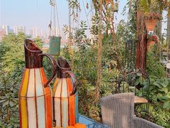 -大隐花事(熊婆婆的花园店)