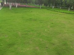 -后襄河公园