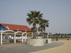 -碧海金沙