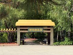 -黑龙江省森林植物园