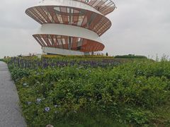 -光明小镇欢乐田园