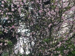 -敬亭盲人保健按摩(大连西路店)