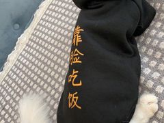 -萌兽医馆·眼科·异宠专科(三里屯店)