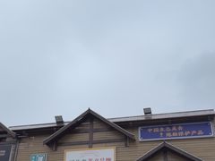 -0317火锅鸡·清真(正达店)