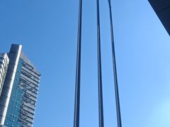 -袁大头包子(光华路店)