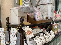 -十年猫舍·猫咪专门店(普陀店)