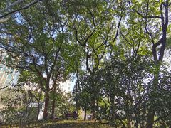 -徐家汇源景区-衡山公园