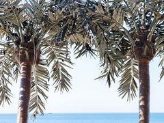 -秦皇岛秦皇国际大酒店