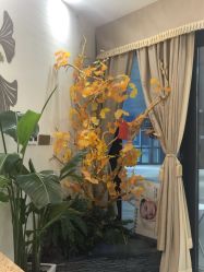 点击看大图 -芳朵美容养生SPA