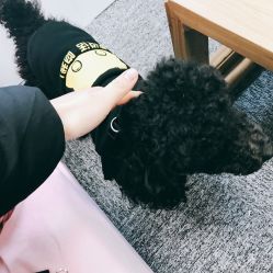 -斐尔国际皮肤管理中心