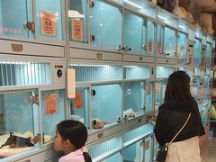 -FAELING PETS美天灵宠物(合生汇店)