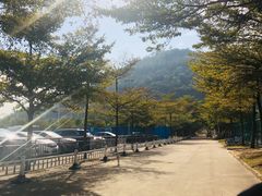 -顺峰山公园