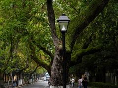 -颐和路民国时期公馆风貌区