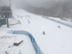 -亚布力新体委滑雪场