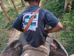 -Jungle Kitchen