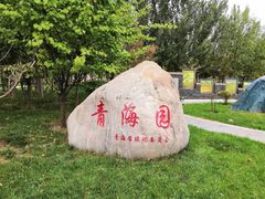 -武清南湖绿博园