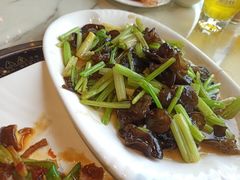 -大雄九老菜馆(南门桥店)